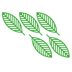  Logotipo do grupo de OBB – Olimpíada Brasileira de Biologia 